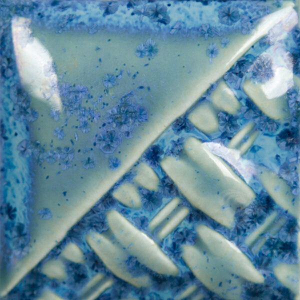 SW217-Micro-Cerulean-cone-6.jpg